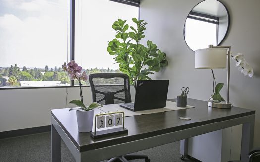Suite 700 – Premier Workspaces for Rent – Cerritos, CA